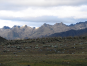 La Culata
